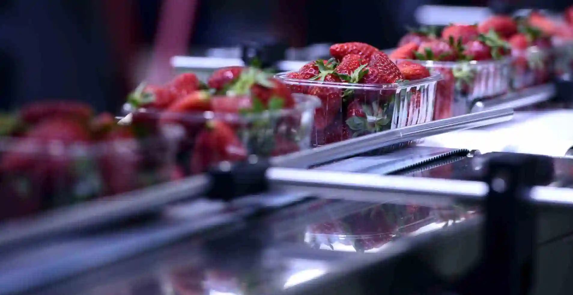 Food Processing Warehouse
